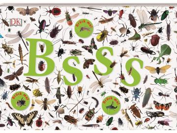 BSSS: die ganze Welt der Insekten
