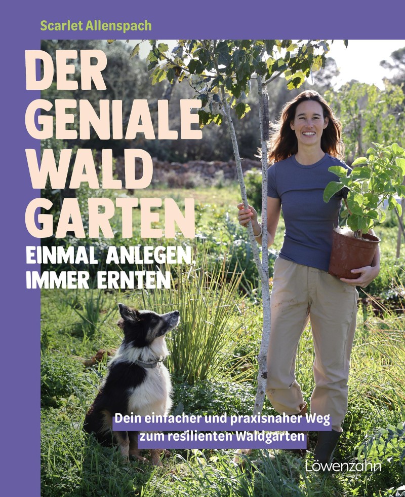 Scarlet Allenspach: Der geniale Waldgarten - einmal anlegen, immer ernten